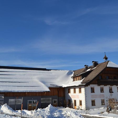 Apartament Vorderreithbauer Hof bei Salzburg Zewnętrze zdjęcie