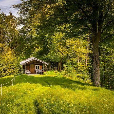 Apartament Vorderreithbauer Hof bei Salzburg Zewnętrze zdjęcie
